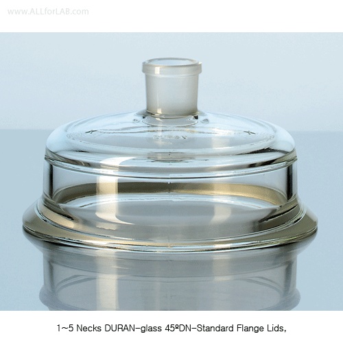 DURAN-glass 45º DN 100-Standard SL.Re2044 4